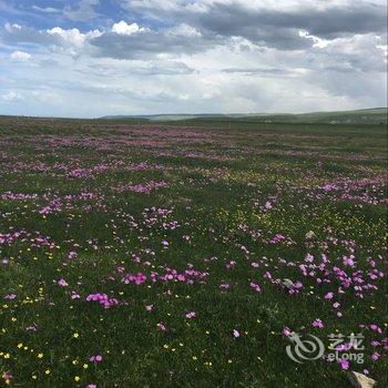 青海湖木屋营地酒店提供图片