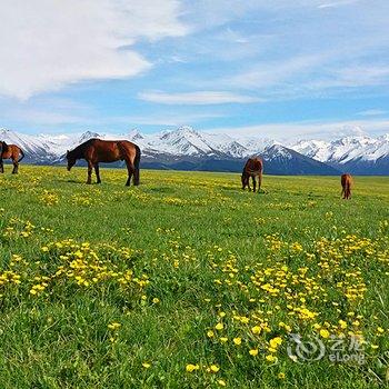 伊宁穆如清风青年旅舍酒店提供图片