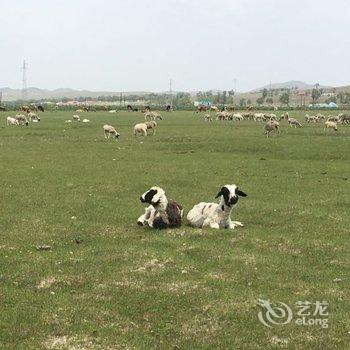 沽源天赐山庄酒店提供图片