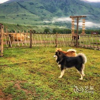 布尔津禾木景区禾木回转山庄酒店提供图片