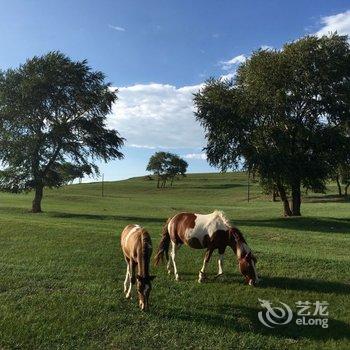 沽源天赐山庄酒店提供图片