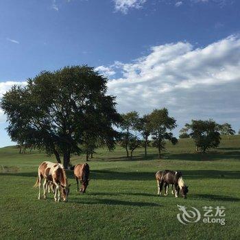 沽源天赐山庄酒店提供图片