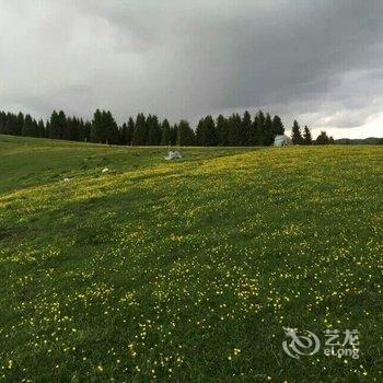 伊犁瑞星宾馆酒店提供图片