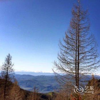 白哈巴记忆旅行客栈酒店提供图片