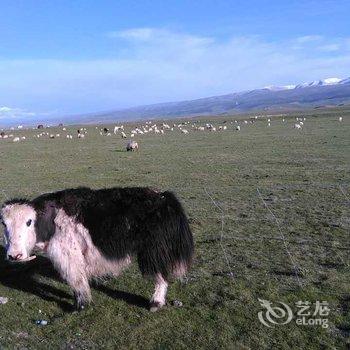 青海湖扎西德吉帐房宾馆酒店提供图片