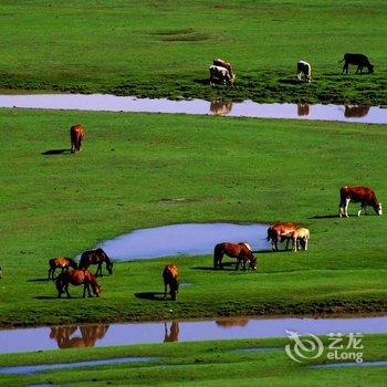 张北赵家农家院酒店提供图片