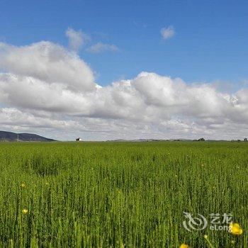 沽源沁心源农家乐酒店提供图片