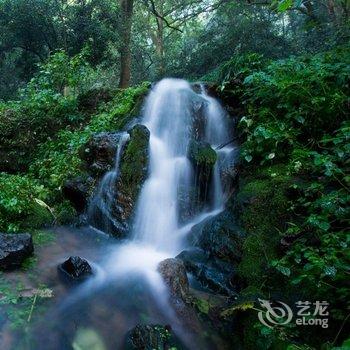 杭州花家山庄酒店提供图片