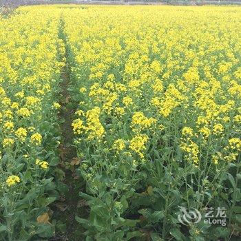 千岛湖云境民宿酒店提供图片