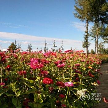 长白山喜来客宾馆酒店提供图片