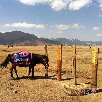 香格里拉东山顶上牧场客栈酒店提供图片