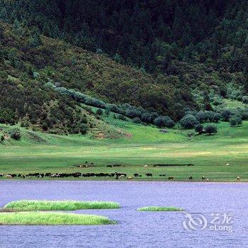 香格里拉东山顶上牧场客栈酒店提供图片