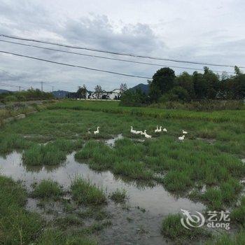 黟县碧山周家园农家乐酒店提供图片