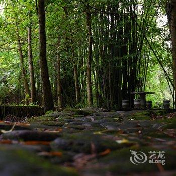 都江堰青城山欢墅度假别墅(青山逸品)酒店提供图片