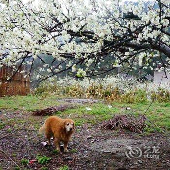 张家界五号山谷乡村度假民居酒店提供图片