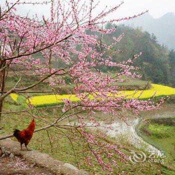 张家界五号山谷乡村度假民居酒店提供图片