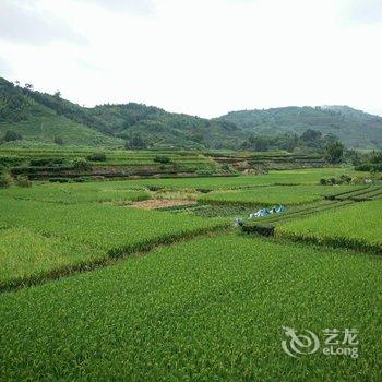 南靖土楼云水谣长教咱厝客栈酒店提供图片