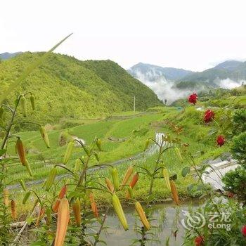 云和后杉缘家庭农场酒店提供图片