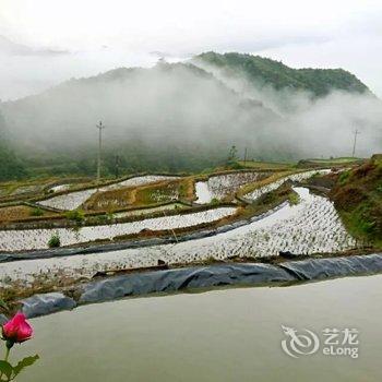 云和后杉缘家庭农场酒店提供图片