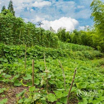 磐安亨达高二花园度假酒店酒店提供图片