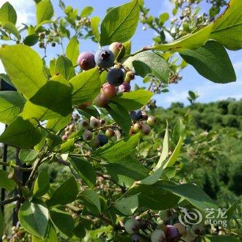 莫干·山中度假酒店酒店提供图片