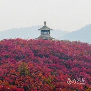 桐柏淮源印象假日酒店酒店提供图片