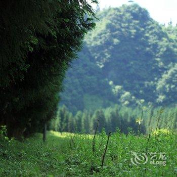 武隆仙女山清泉雅居生态农家乐酒店提供图片