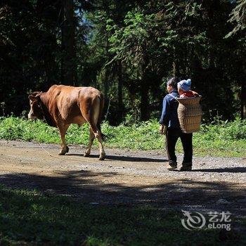 武隆仙女山清泉雅居生态农家乐酒店提供图片