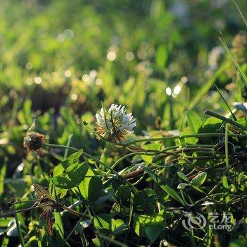 武隆仙女山清泉雅居生态农家乐酒店提供图片