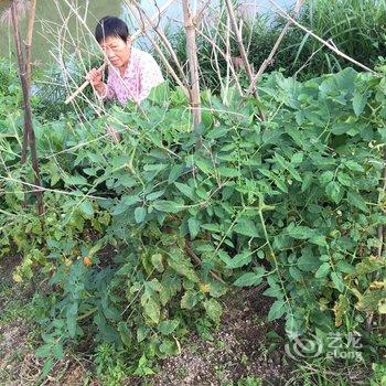 天柱山玩美农庄酒店提供图片