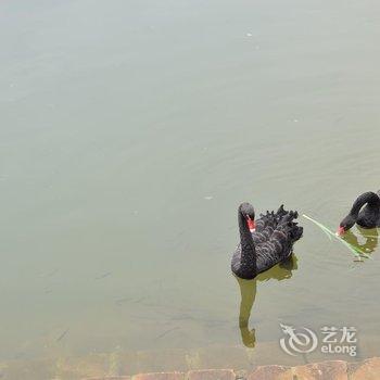 龙虎山OneDream国际青年旅舍(原水浒青年HOSTEL旅舍)酒店提供图片