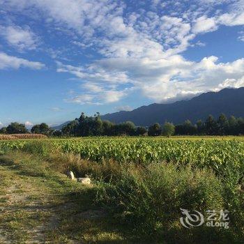 大理七木小栈酒店提供图片