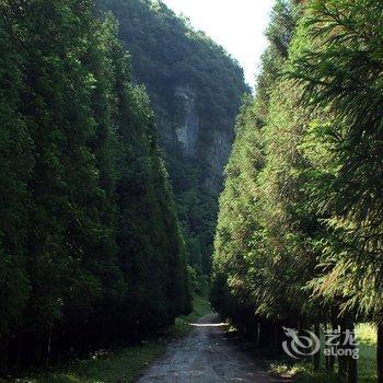 武隆仙女山清泉雅居生态农家乐酒店提供图片