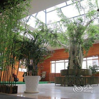 天津爱之家养生酒店酒店提供图片