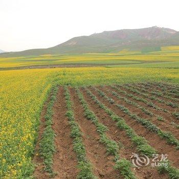 祁连山下人家客栈酒店提供图片