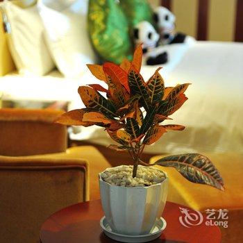 遂宁熊猫王子酒店酒店提供图片