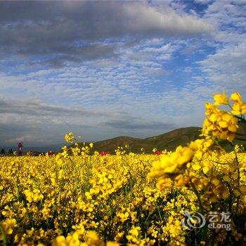 海晏青海湖公寓酒店提供图片