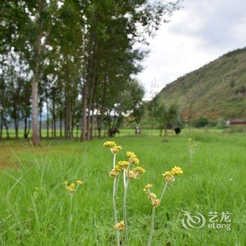 泸沽湖兮玥湿地景观酒店酒店提供图片