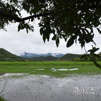 泸沽湖兮玥湿地景观酒店酒店提供图片