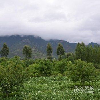 泸沽湖兮玥湿地景观酒店酒店提供图片