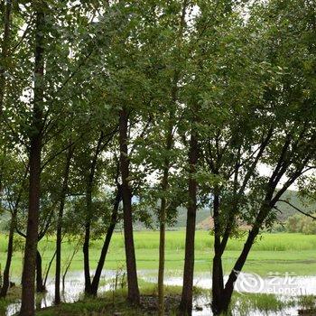 泸沽湖兮玥湿地景观酒店酒店提供图片