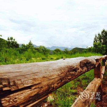 泸沽湖兮玥湿地景观酒店酒店提供图片