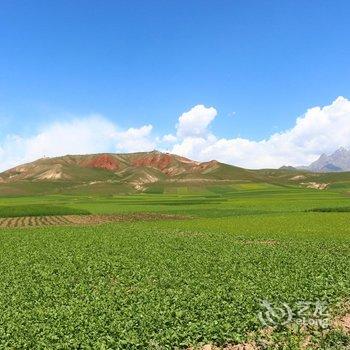 祁连山下人家客栈酒店提供图片