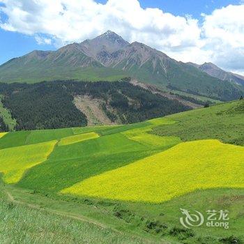 祁连家庭青年旅馆酒店提供图片