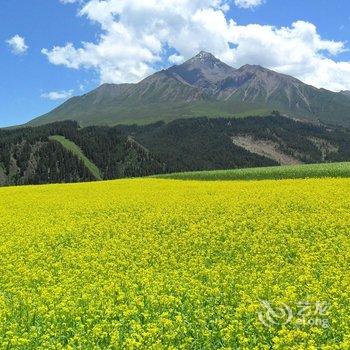 祁连家庭青年旅馆酒店提供图片