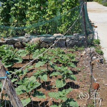 兴城菊花岛丽蓉渔家宾馆酒店提供图片