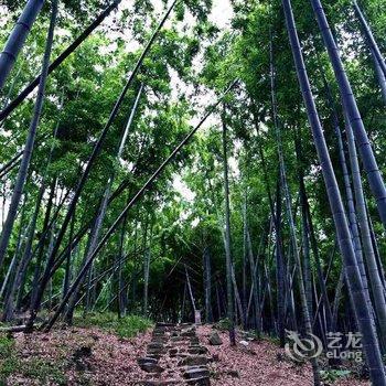 德清莫干山简生活酒店提供图片