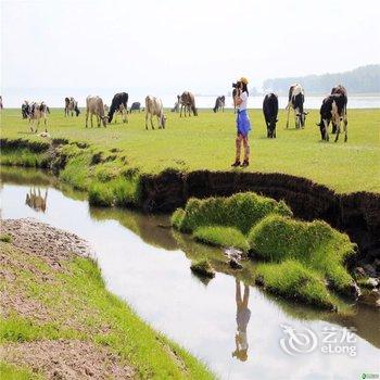 张北天悦农庄农家院酒店提供图片