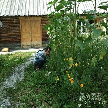 布尔津禾木第一家山庄酒店提供图片