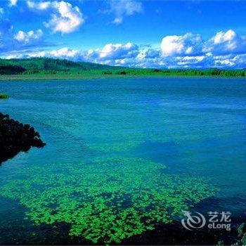 阿尔山杨二旅店酒店提供图片